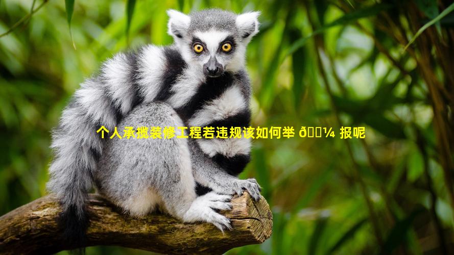 个人承揽装修工程若违规该如何举 🐼 报呢